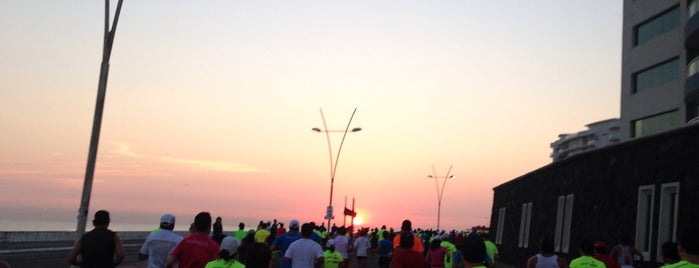 Medio Maraton del Puerto de Veracruz is one of Lieux qui ont plu à @pepe_garcia.