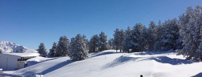 Plateau de Beille is one of Les 200 principales stations de Ski françaises.