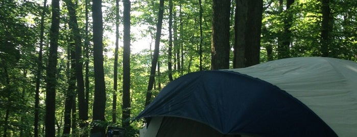 Riftrafters Campground is one of Orte, die Eric gefallen.
