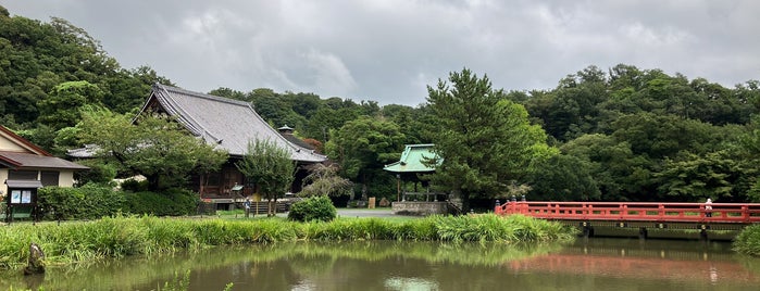阿字ヶ池 is one of 寺社.