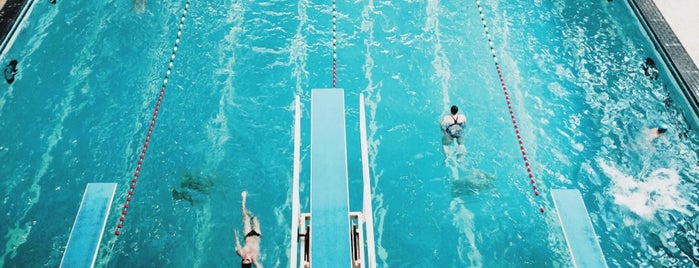 Brussels's swimming pool