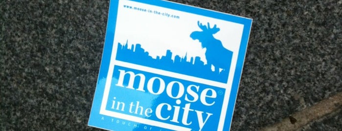 MOOSE in the CITY is one of Shopping in Belgium!.