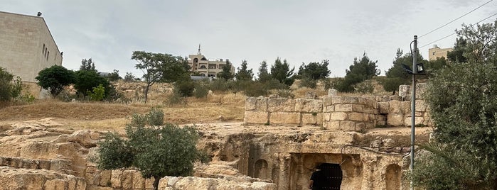 Cave of the Seven Sleepers is one of amman list.