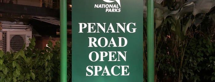 Penang Road Open Space is one of p sg.