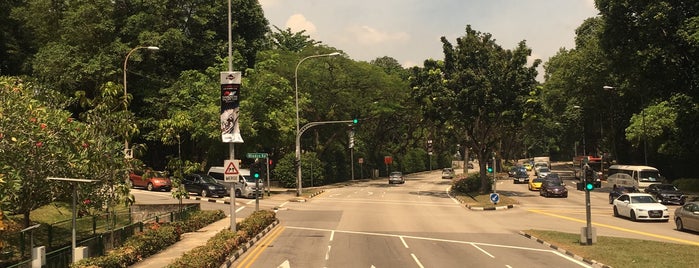 Holland Road is one of Frequent locations.