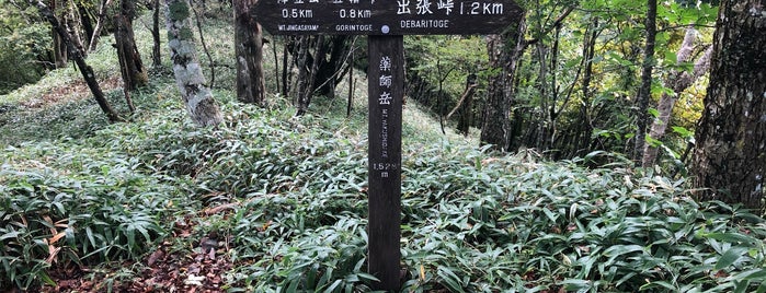 薬師岳 is one of 日本の🗻ちゃん(⌒▽⌒).