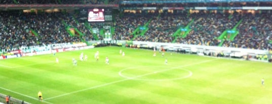 Estádio José Alvalade is one of Lisboa.