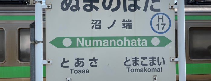 Numanohata Station (H17) is one of 道央の駅.