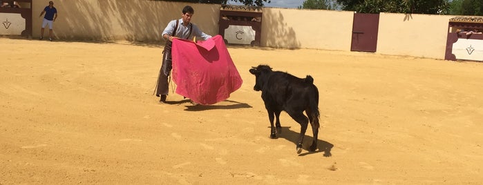 La Calera is one of Sevilla.