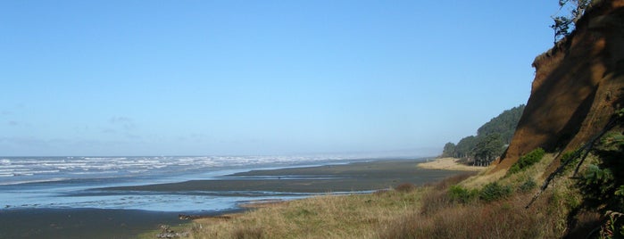Ocean City State Park is one of WA State Parks.
