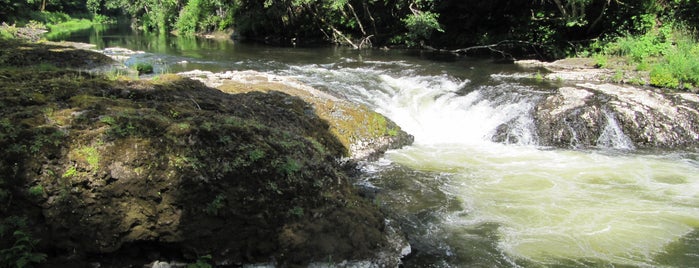 Rainbow Falls State Park is one of Washington state parks.