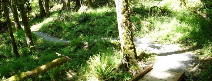 Squak Mountain State Park is one of Sea-Tac Region.