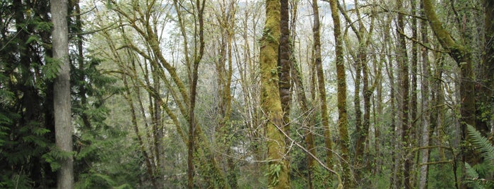 Kopachuck State Park is one of Washington state parks.