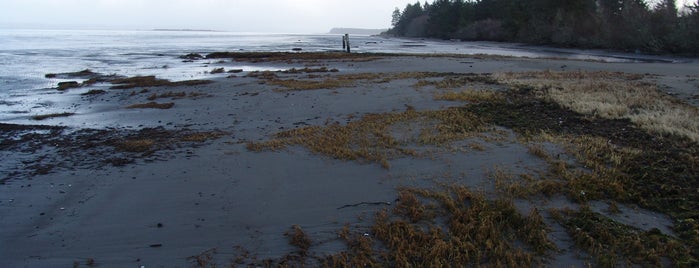 Bottle Beach State Park is one of Gayla’s Liked Places.