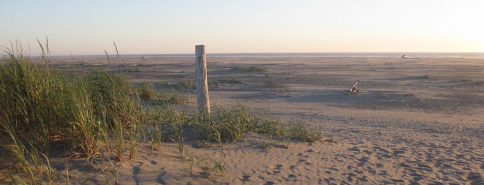 Grayland Beach State Park is one of Washington state parks.