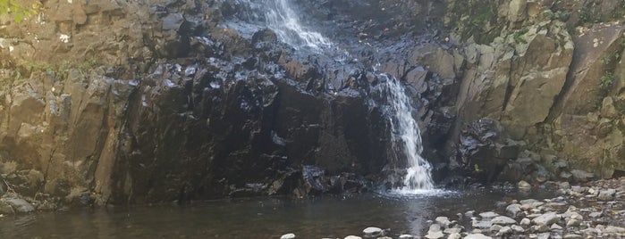 The Waterfall! is one of Tempat yang Disimpan Lizzie.