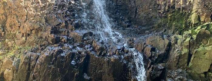 Hemlock Falls is one of Tempat yang Disimpan Lizzie.
