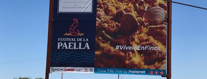 Festival de la Paella is one of Pierre : понравившиеся места.