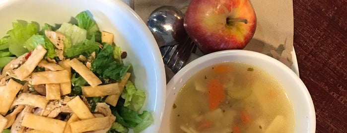 Panera Bread is one of The 15 Best Places for Cantaloupe in Houston.