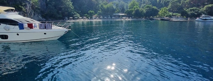 Turunç Pınarı Koyu is one of Swim.