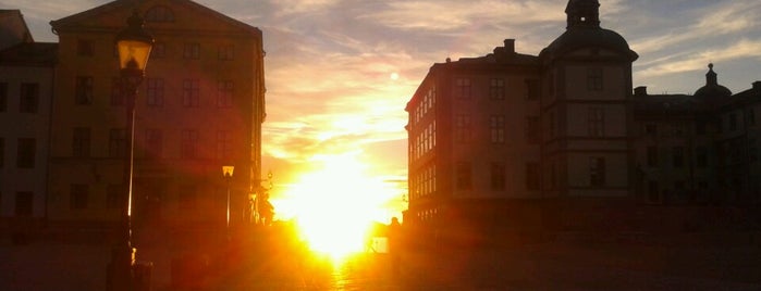 Riddarholmen is one of Swedish Sites.