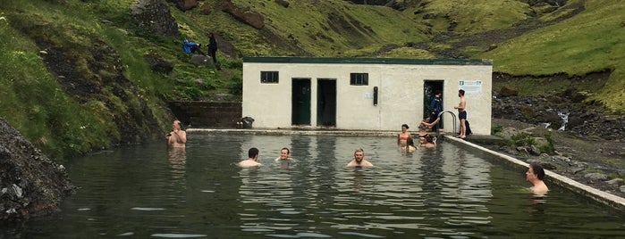 Seljavallalaug is one of Iceland.