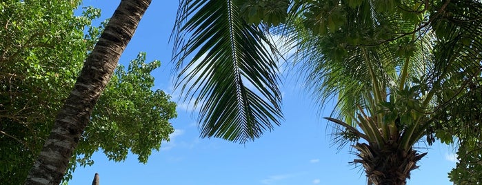 Constance Le Prince Maurice is one of Mauritius.