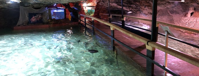 Aquarium Cap Blanc is one of Orte, die Daniel gefallen.