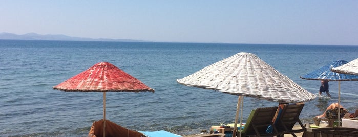 Matiz Beach Club is one of A local’s guide: 48 hours in Balıkesir.