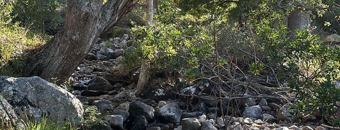 Kirstenbosch Botanical Gardens is one of Viagem.