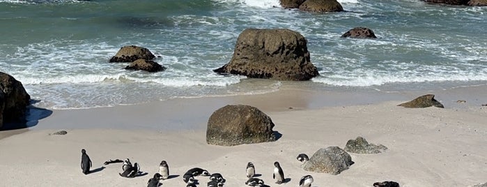 Boulders Beach is one of Best of ZAF.