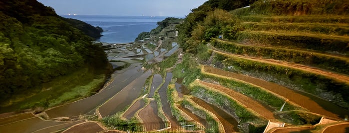 Hamanoura Rice Terrace is one of guestandtravel.