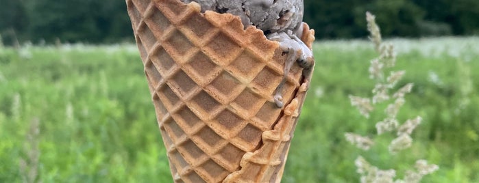 oWowCow Artisan Ice Cream is one of North Jersey.