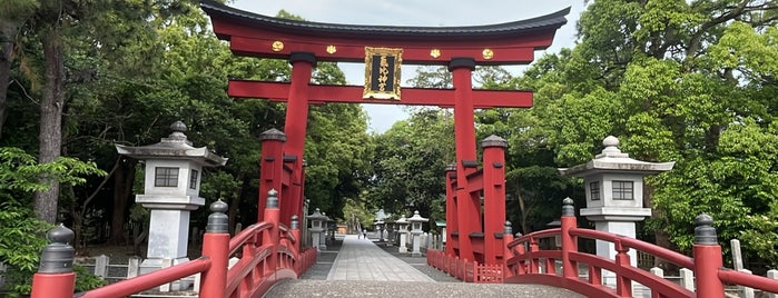 Kehi-jingu Shrine is one of 「光る君へ」ゆかりのスポット.
