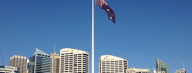 Darling Harbour is one of Witkacy w Australii.