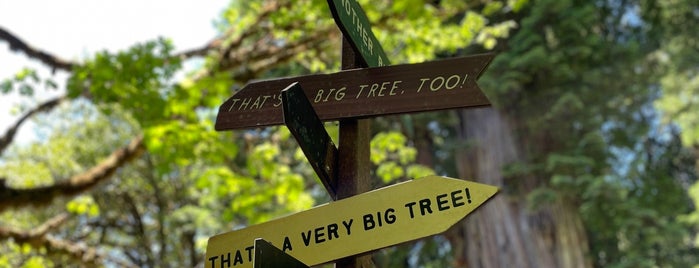 Redwood National Park is one of Posti che sono piaciuti a Debra.
