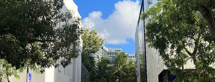 Miami Design District is one of Locais curtidos por Camilo.