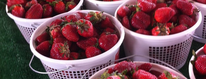 State Farmers Market is one of Raleigh Favorites II.