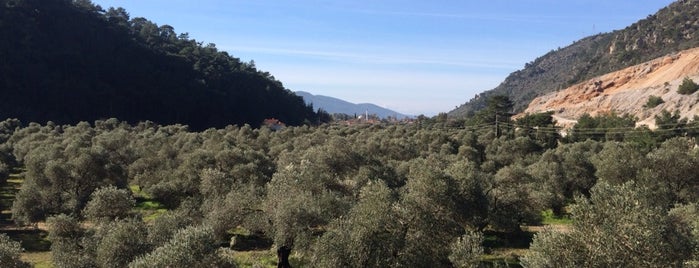 Gökova Süt Ürünleri (Gökova Dairies) is one of Övgü’s Liked Places.