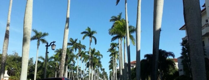 West Palm Beach is one of สถานที่ที่ Elizabeth ถูกใจ.