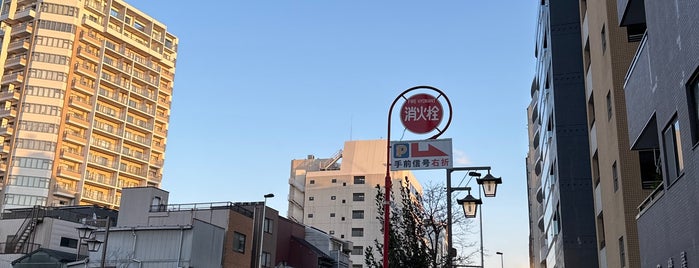 Nezu Station (C14) is one of japan.