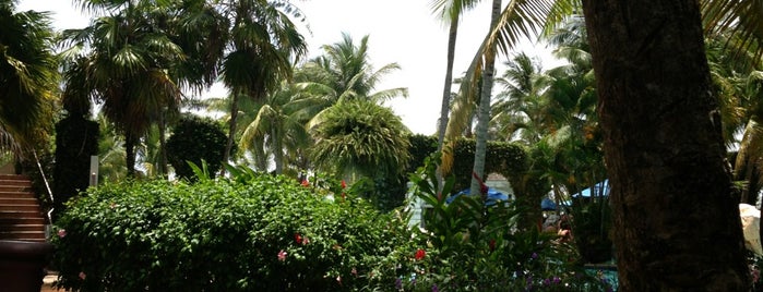 Swim Up Bar! is one of Tempat yang Disukai Allison.