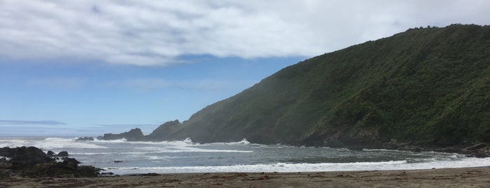 Playa de Curiñanco is one of Valdivia.