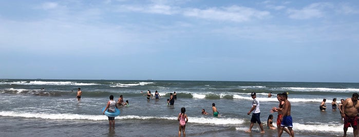 Playa Miami is one of Veracruz.