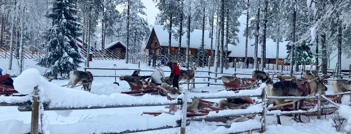 Arctic Reindeer Farm is one of Rovaniemi in 5 days!.