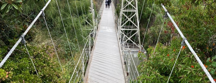 Spruce Street Foot Bridge is one of SD todo.