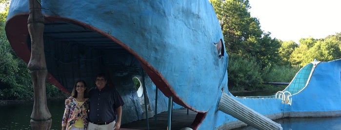 Blue Whale is one of Tulsa To-Do.