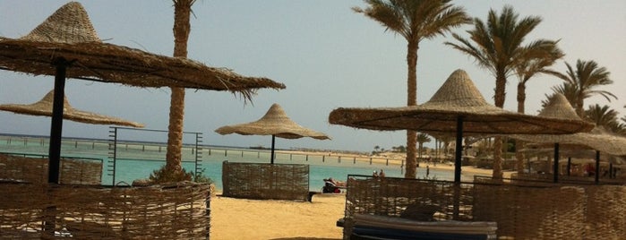 Elphiston Resort is one of Marsa Alam .. The Pure Nature.
