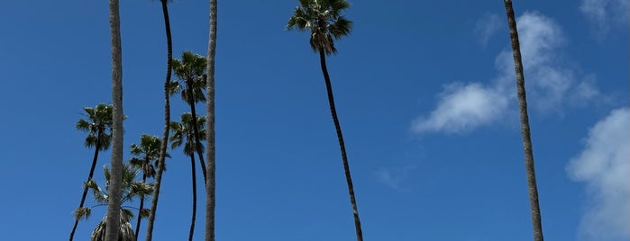 Goleta Beach County Park is one of Santa Barbara.