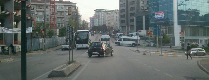 Atatürk Caddesi is one of Tempat yang Disimpan Gül.